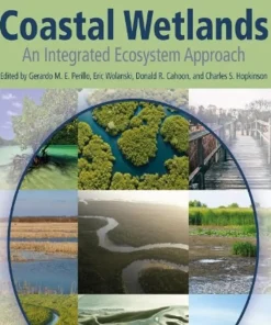 Coastal Zone Management Global Perspectives Regional Processes Local Issues