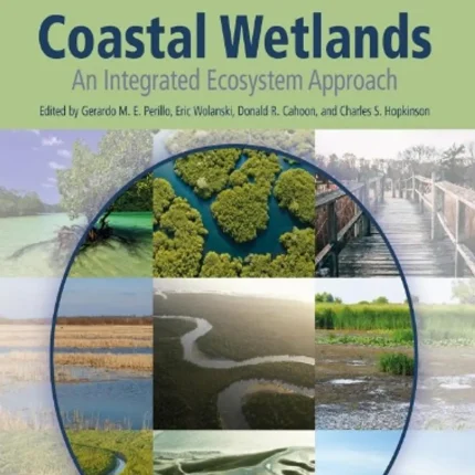 Coastal Zone Management Global Perspectives Regional Processes Local Issues