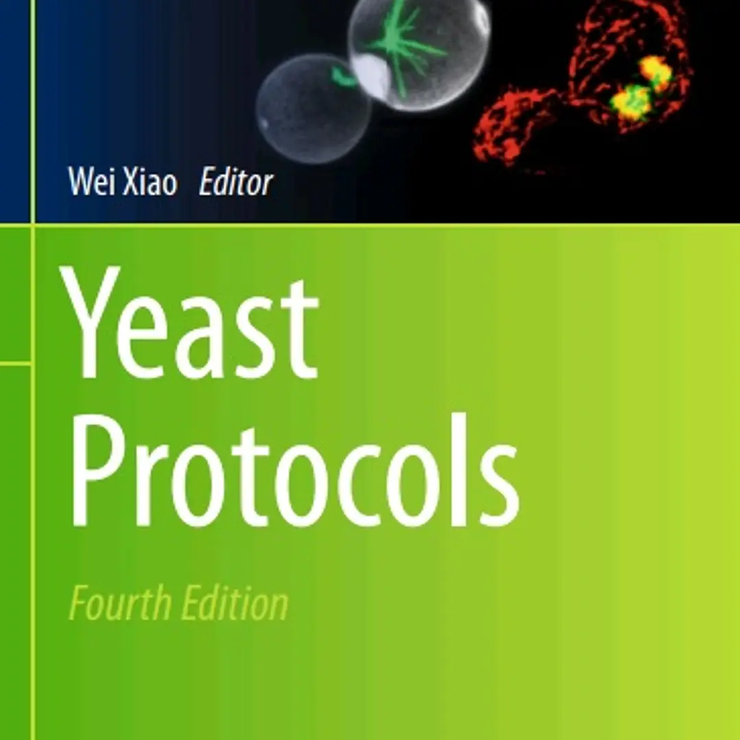 Yeast Protocols