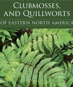 Ferns Spikemosses Clubmosses and Quillworts of Eastern North America