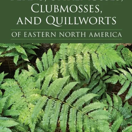 Ferns Spikemosses Clubmosses and Quillworts of Eastern North America