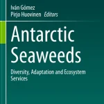Antarctic Seaweeds Diversity Adaptation and Ecosystem Services