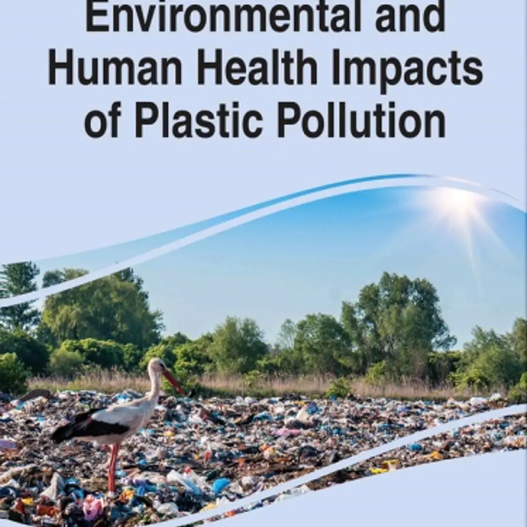 Handbook of Research on Environmental and Human Health Impacts of Plastic Pollution