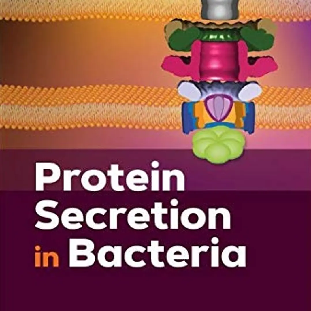 Protein Secretion in Bacteria