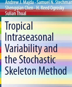 Tropical Intraseasonal Variability and the Stochastic Skeleton Method