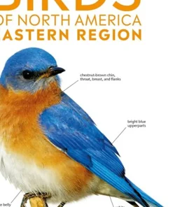 AMNH Pocket Birds of North America Eastern Region