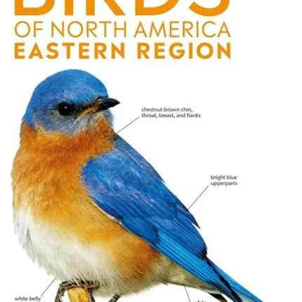AMNH Pocket Birds of North America Eastern Region