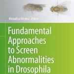Fundamental Approaches to Screen Abnormalities in Drosophila