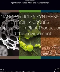 Nanoparticles Synthesis by Soil Microbes Application in Plant Production and the Environment