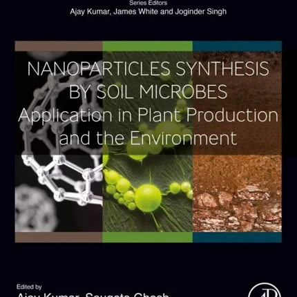 Nanoparticles Synthesis by Soil Microbes Application in Plant Production and the Environment