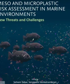 Meso and Microplastic Risk Assessment in Marine Environments