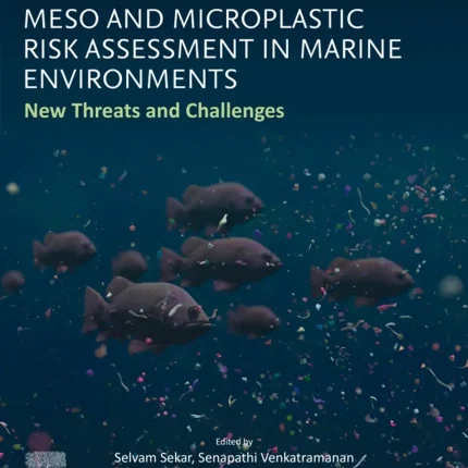 Meso and Microplastic Risk Assessment in Marine Environments