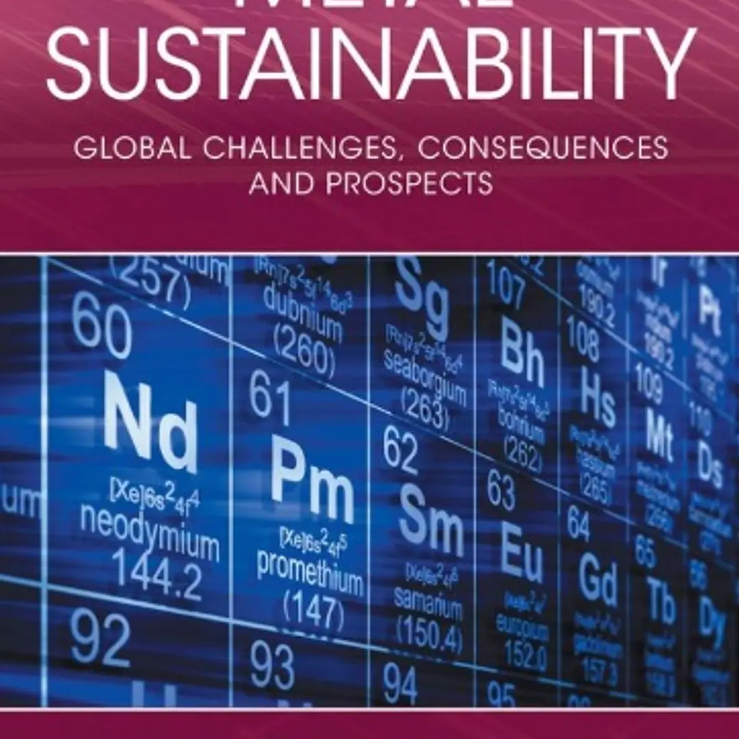 Metal Sustainability Global Challenges Consequences and Prospects