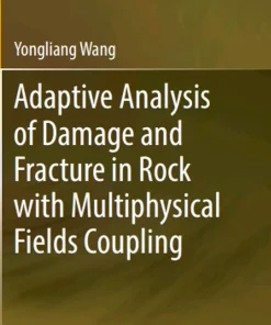 Adaptive Analysis of Damage and Fracture in Rock with Multiphysical Fields Coupling