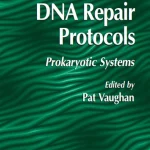 DNA Repair Protocols Prokaryotic Systems