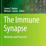 The Immune Synapse Methods and Protocols