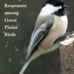 Global Warming and Population Responses among Great Plains Birds