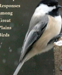 Global Warming and Population Responses among Great Plains Birds