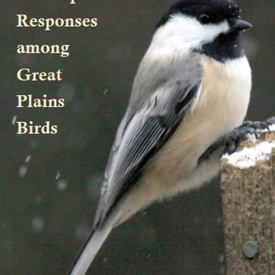 Global Warming and Population Responses among Great Plains Birds