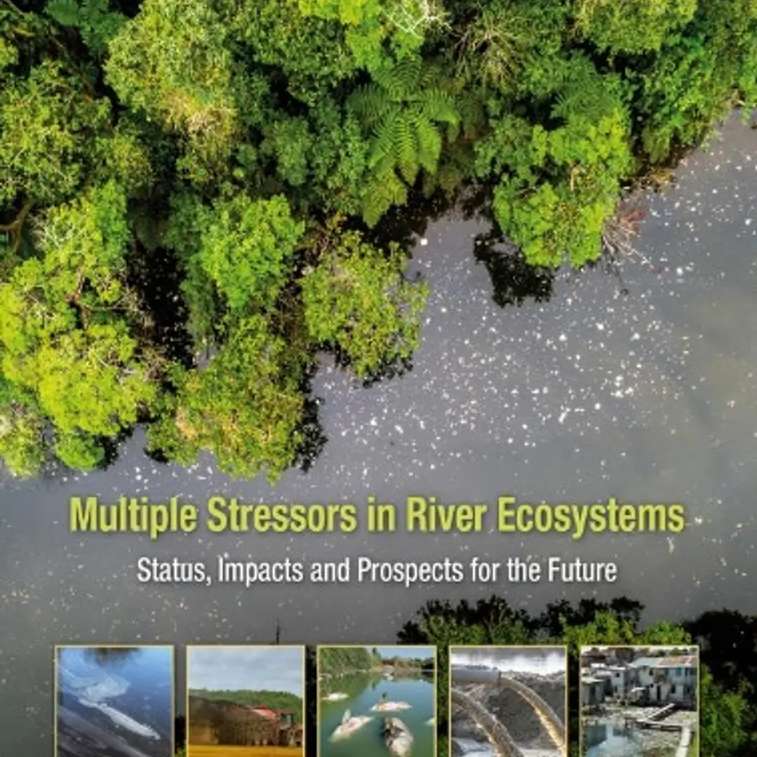 Multiple Stressors in River Ecosystems Status Impacts and Prospects for the Future