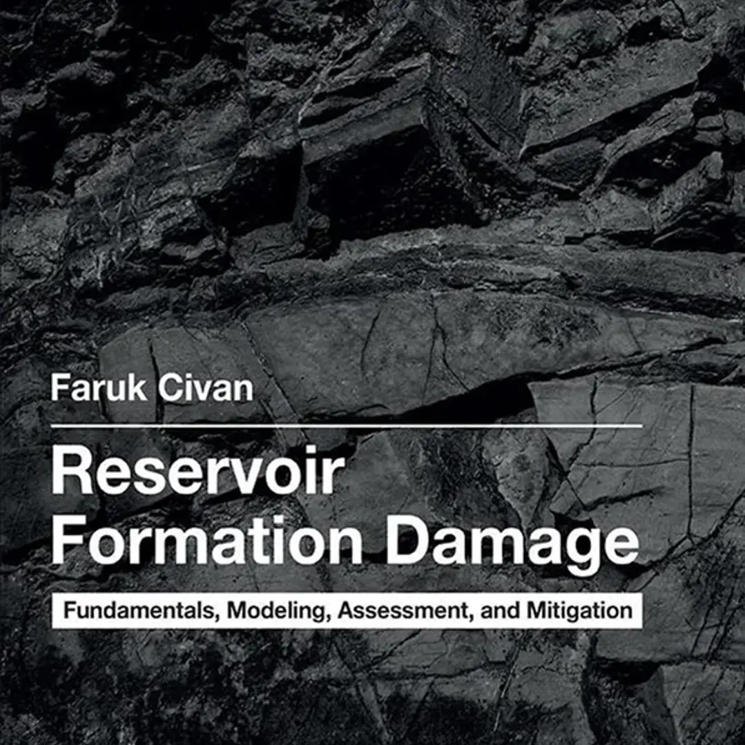 Reservoir Formation Damage