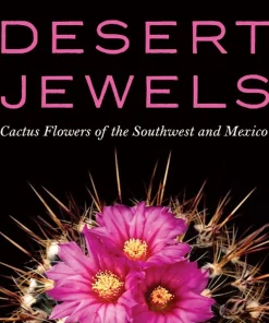 Desert Jewels Cactus Flowers of the Southwest and Mexico