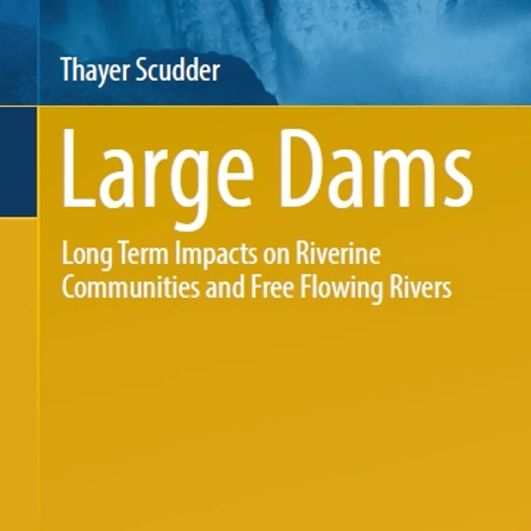 Large Dams Long Term Impacts on Riverine Communities and Free Flowing Rivers