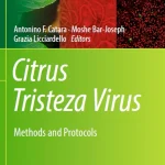 Citrus Tristeza Virus Methods and Protocols