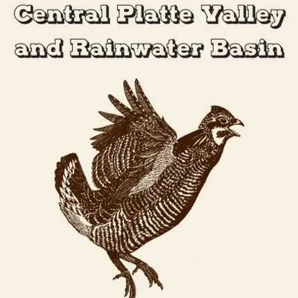 Birding Nebraska's Central Platte Valley and Rainwater Basin