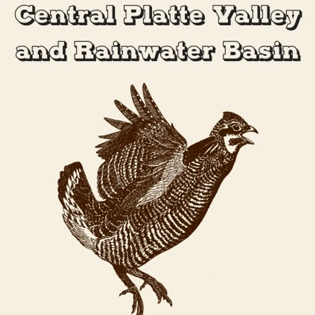 Birding Nebraska's Central Platte Valley and Rainwater Basin