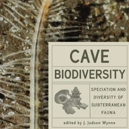Cave Biodiversity Speciation and Diversity of Subterranean Fauna