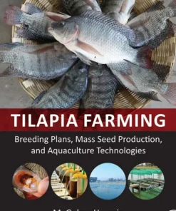 Tilapia Farming Breeding Plans Mass Seed Production and Aquaculture Technologies