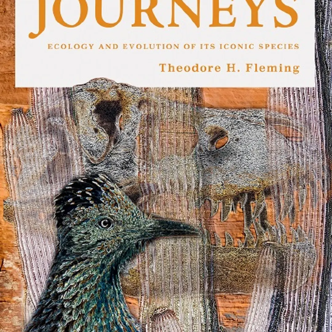 Sonoran Desert Journeys Ecology and Evolution of Its Iconic Species