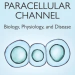 The Paracellular Channel Biology Physiology and Disease