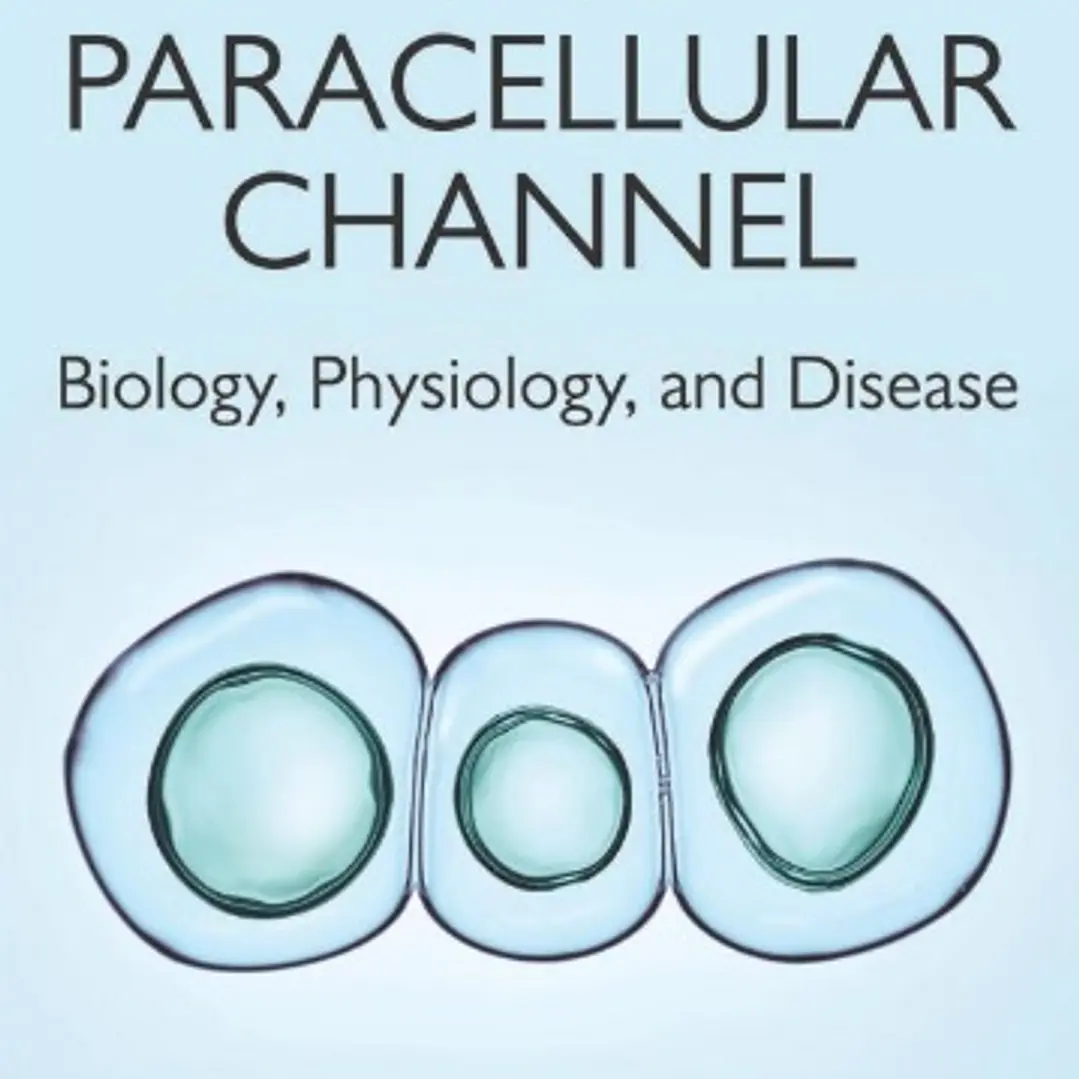 The Paracellular Channel Biology Physiology and Disease