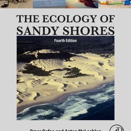 The Ecology of Sandy Shores