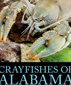 Crayfishes of Alabama