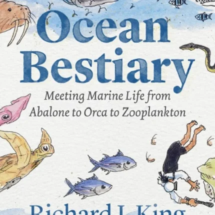 Ocean Bestiary Meeting Marine Life from Abalone to Orca to Zooplankton