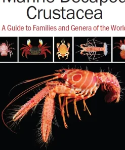 Marine Decapod Crustacea A Guide to Families and Genera of the World