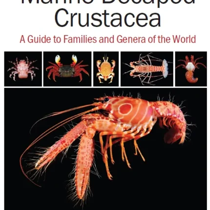 Marine Decapod Crustacea A Guide to Families and Genera of the World