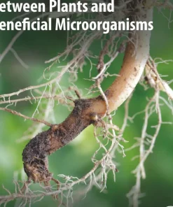 The Chemical Dialogue Between Plants and Beneficial Microorganisms