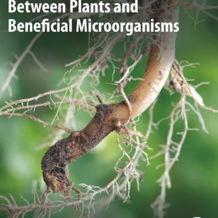 The Chemical Dialogue Between Plants and Beneficial Microorganisms