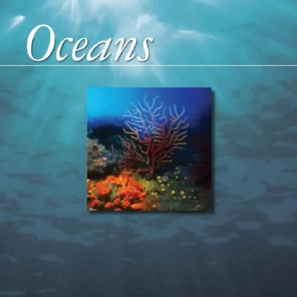 Oceans Environmental Issues Global Perspectives