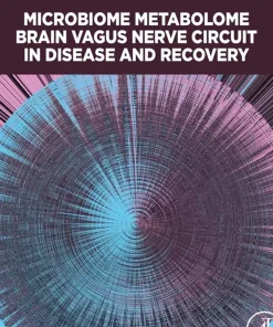 Microbiome Metabolome Brain Vagus Nerve Circuit in Disease and Recovery