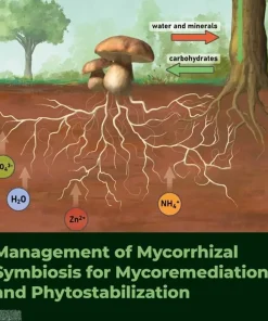 Management of Mycorrhizal Symbiosis for Mycoremediation and Phytostabilization