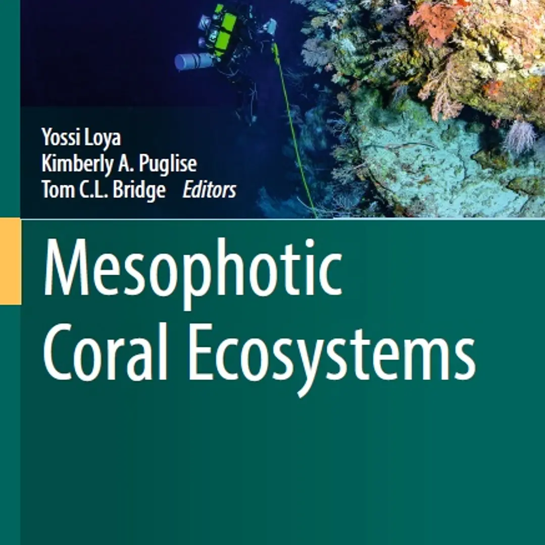 Mesophotic Coral Ecosystems