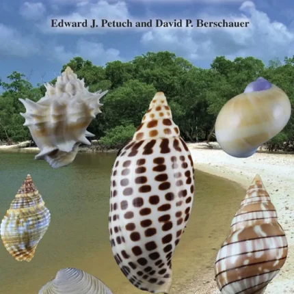 Mollusks and Marine Environments of the Ten Thousand Islands