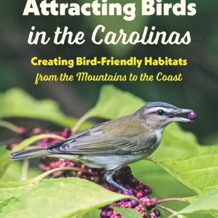 Attracting Birds in the Carolinas