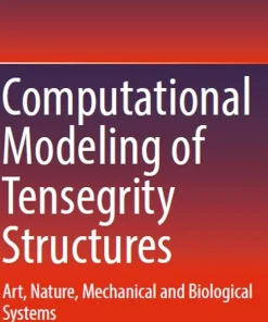 Computational Modeling of Tensegrity Structures