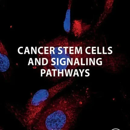 Cancer Stem Cells and Signaling Pathways